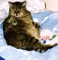 Jana in Bed