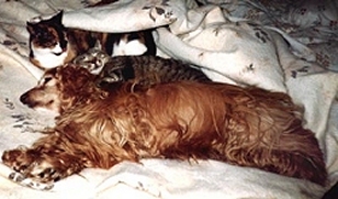 Group Sleeping