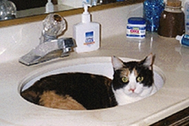 Karma's cool spot