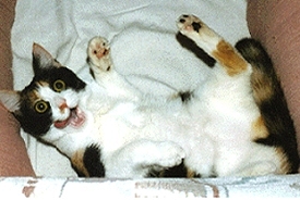 Karma's Silly Pose