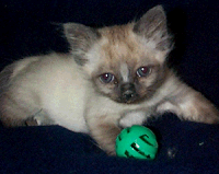 Little One