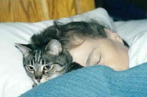 Tigger sleeping with Lynn
