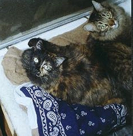 Mayday and Mason