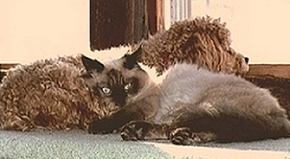 Molly and Travis