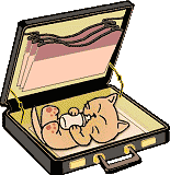 cbriefcase.gif (7131 bytes)