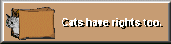gato7.gif (1772 bytes)
