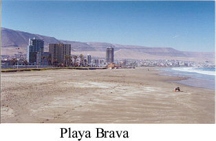 Playa
