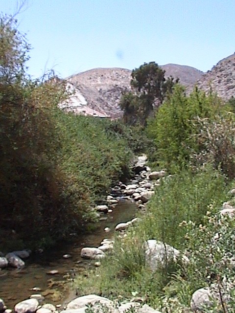 Rio de Codpa
