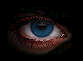 eye0001.gif (11806 bytes)