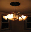 cavellacontracting014005.jpg