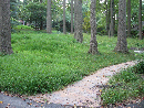 cavellacontracting018001.jpg