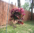 cavellacontracting028001.jpg