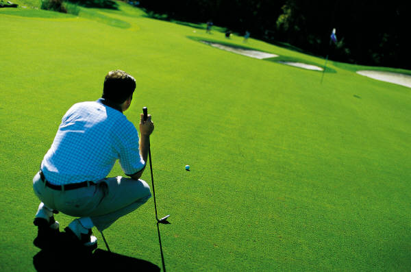 Terry O The Great Golfer