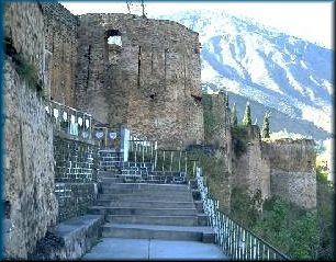 muzfort.jpg (25994 bytes)