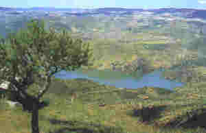 Vista