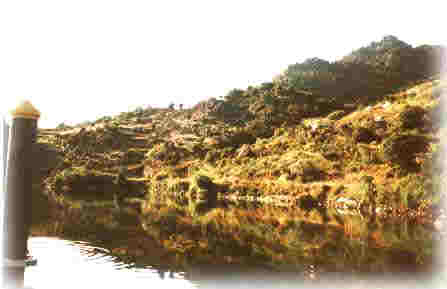 La Barca (derecha)