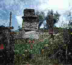 Molino de aceite
