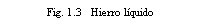 Text Box: Fig. 1.3   Hierro l�quido