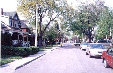 Example of a typical North American residential street: