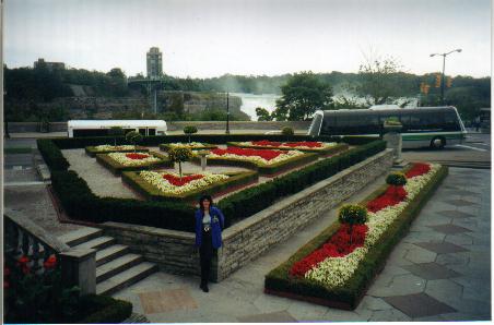 Another garden with American falls as background: