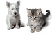 sm_pets.gif (3558 bytes)