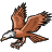 lit
tle 
eagle