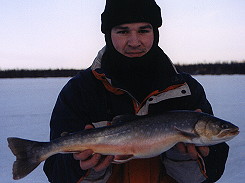 Actic Char from Big Lake on January 20, 2002