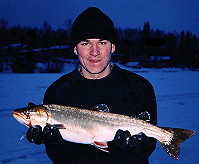 Big Lake Char