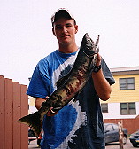 Chum (Dog) Salmon from Ship Creek 27 July 2001 (Caught her 4 times and landed the 5th)