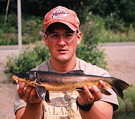 Long Nose Sucker from Long Lake MP86 Ak Jul 2001