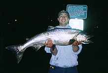 35 pounder caught by Master Angler Greg Gustafson at Ship Creek.&nbsp; He fought the angry beast for almost 10 minutes!