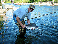 Jason with his huge Pink Salmon out of Montana Creek AK 3 Aug 2002