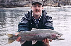 Katfish with 24inch Rainbow out of the Kenai River in Apr