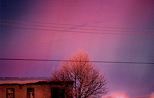 Another from the same display on November 6, 2001