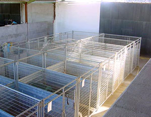Perreras