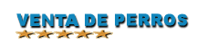 Criadero