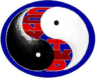 CCNY Taekwondo!