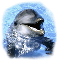 do1.gif (24750 bytes)