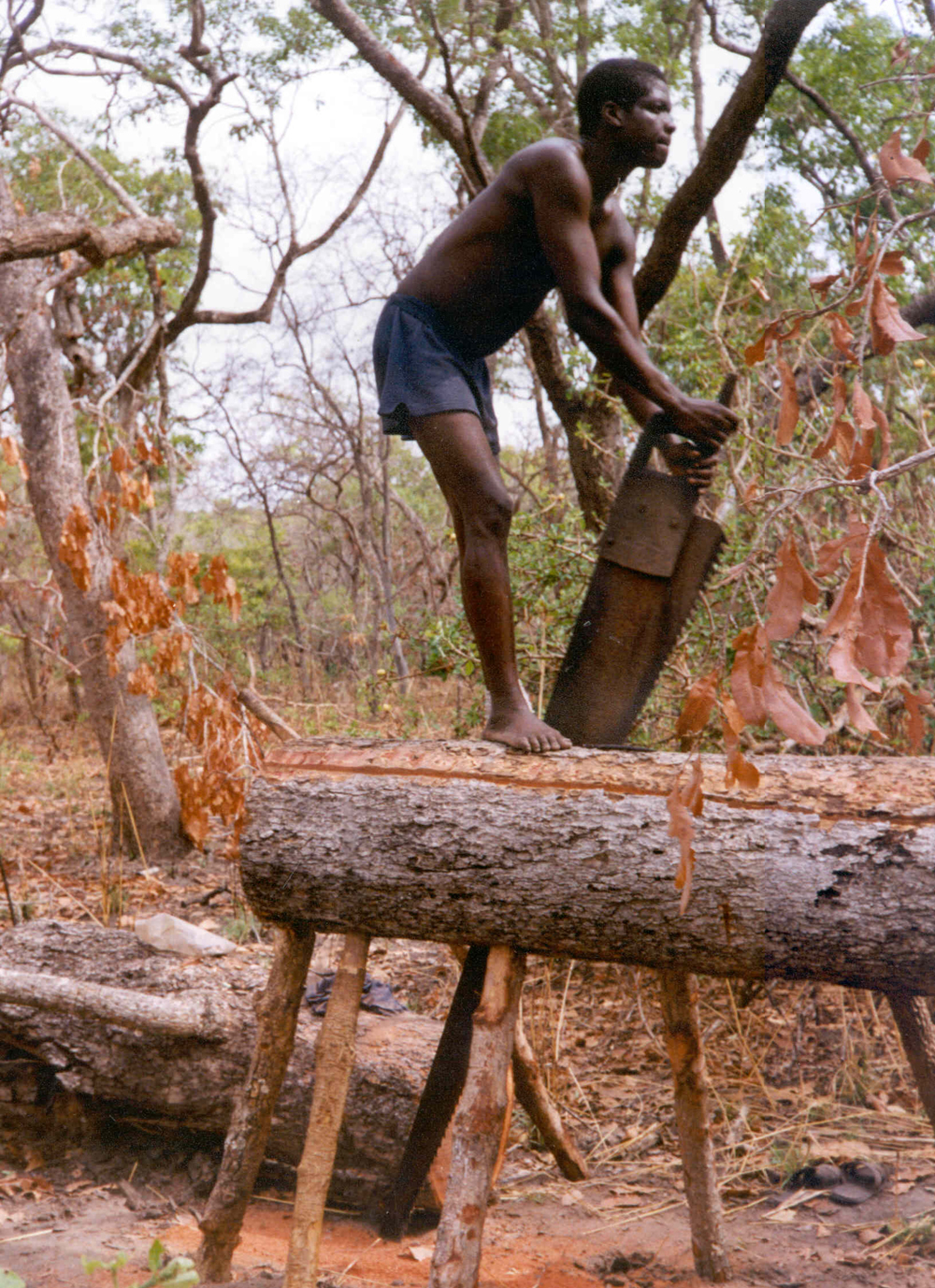 Central Benin Pitsawyer 1996 (Photo by Cecilia Polansky)