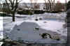 carsnow.JPG (56093 bytes)