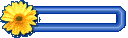 Newcomer