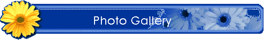 Photo Gallery