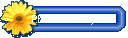 Photo Gallery