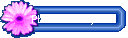 Photo Gallery