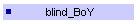 blind_BoY