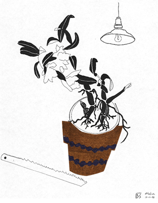05.gif (73966 bytes)