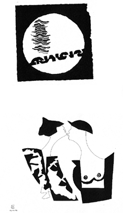 13.gif (39247 bytes)