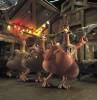 Chicken Run (Evasi�n en la Granja)