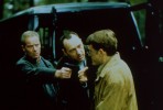 Criminal y Decente