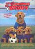 Los cachorros de Buddy